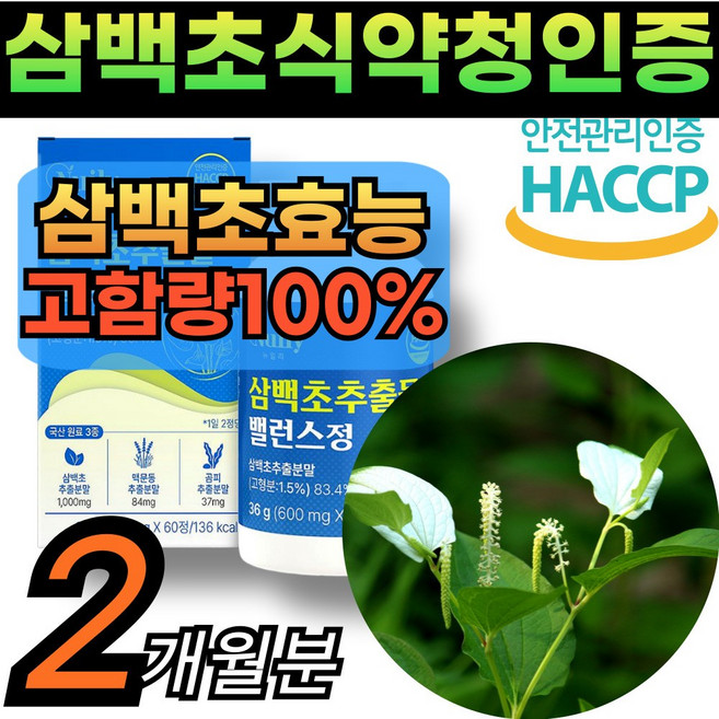 삼백초추출물 식약청인증 알약식 HACCP인증 [건식미남] 삼백초뿌리 간편섭취 40대 50대 60대 남여공용, 2세트, 60회분