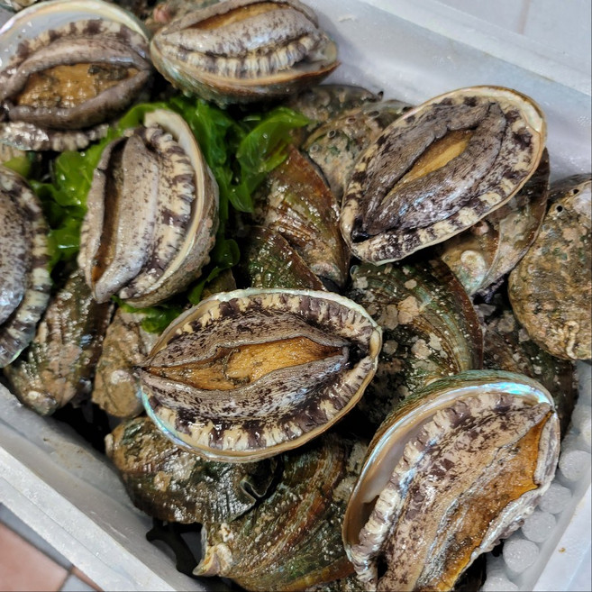 명절전복선물세트 7~8마리 2kg 선물용 특대왕전복 왕큰전복, 7~8미 2kg, VIP 고급포장, 1개