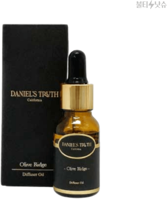 다니엘트루스 디퓨저 자동차 올리브릿지 방향제 오일 15ml, 1개