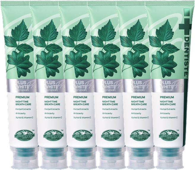 덴티스테 플러스화이트 프로, 200g, 6개