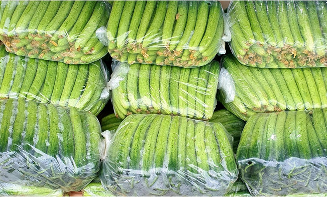 가락싱싱 오이지오이 50개내외 오이지 오이, 1박스