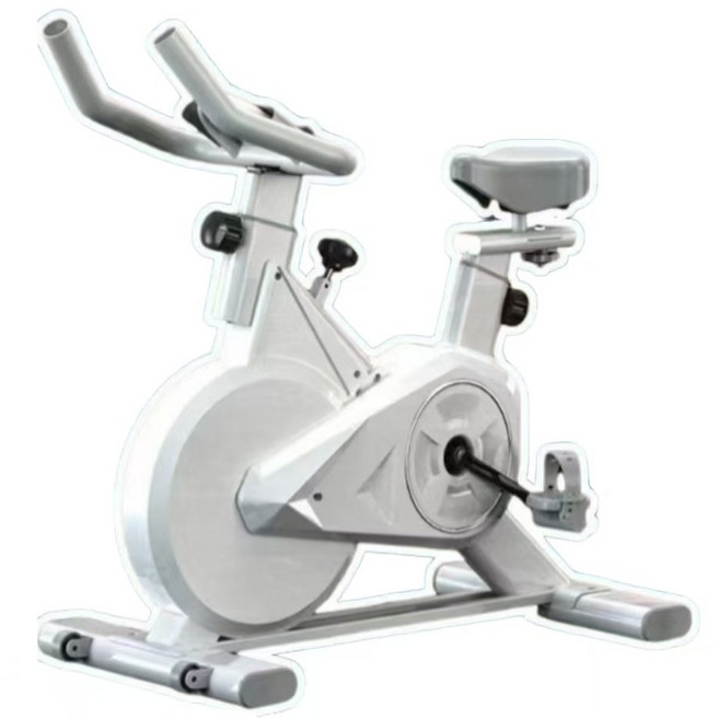 13KG 飛輪健身車，無極阻力調節，300斤載重，靜音皮帶, 白色, 全包款【白色】13KG飛輪+心率