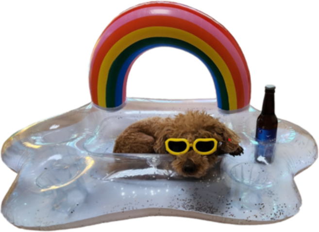 강아지튜브 물놀이 수영 애견 무지개 오리 돌고래 튜브, 스팽글(무지개투명), 1개