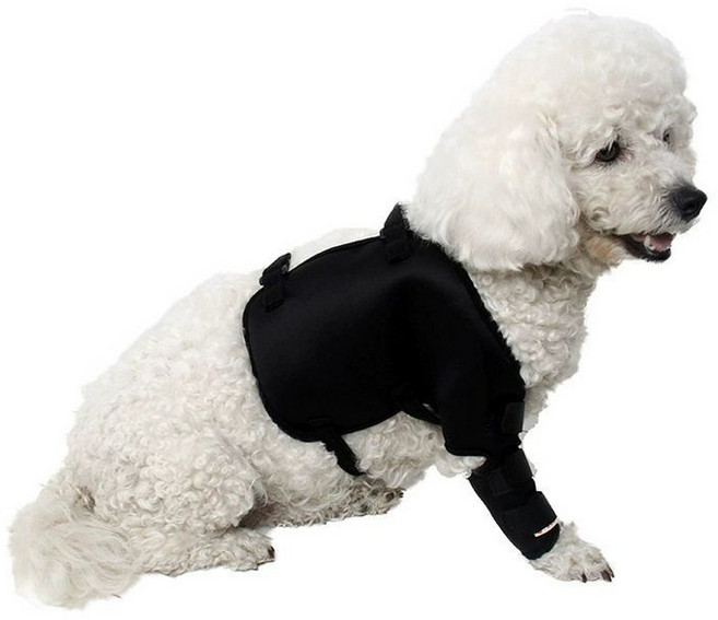 강아지슬개골보호대 무릎보호대 반려견 고정 소형 뒷다리 팻, K021 블랙 [오른쪽 앞다리 단품], XL - 특대형, 1L, 1