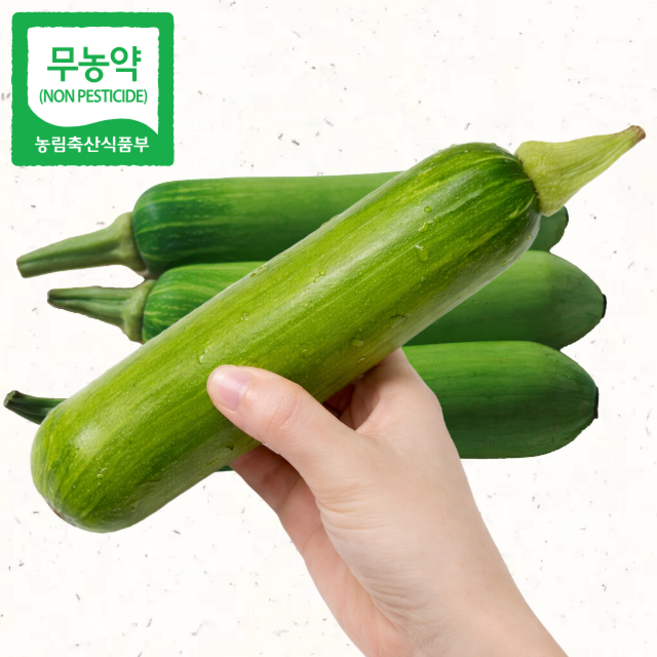 애호박 국내산 친환경 인큐애호박 무농약이상 5개, 300g