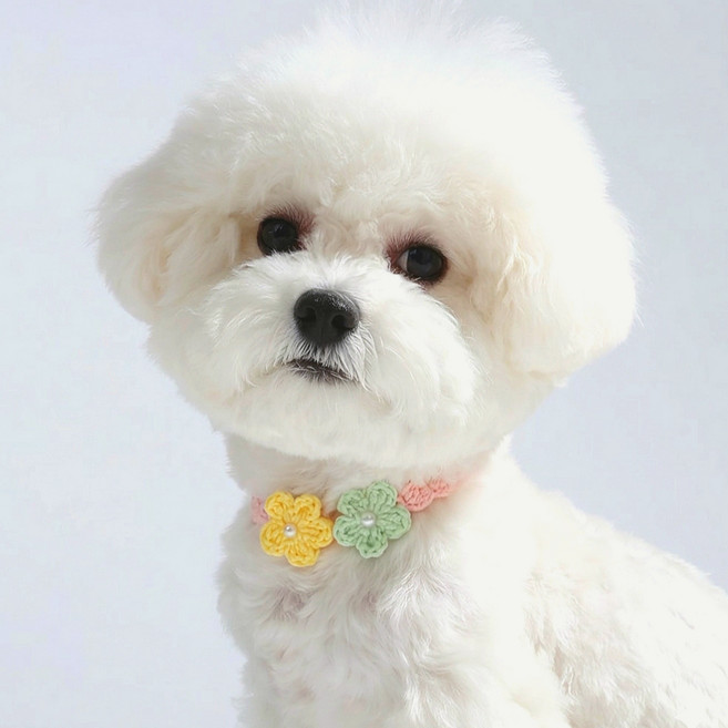 큐앤캐롯 강아지 케이프 고양이 스카프 플라워 진주 목걸이, 1개, 핑크