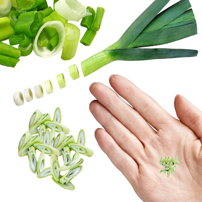 미니어처 만들기 납골당 꾸미기 DIY 수공예 토핑, A11번 양념용 대파20개