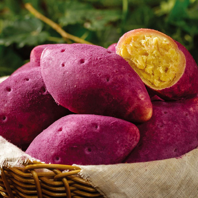 새마원 진짜 고구마빵 (90g 15입) 구황작물빵, 1.35kg, 1개