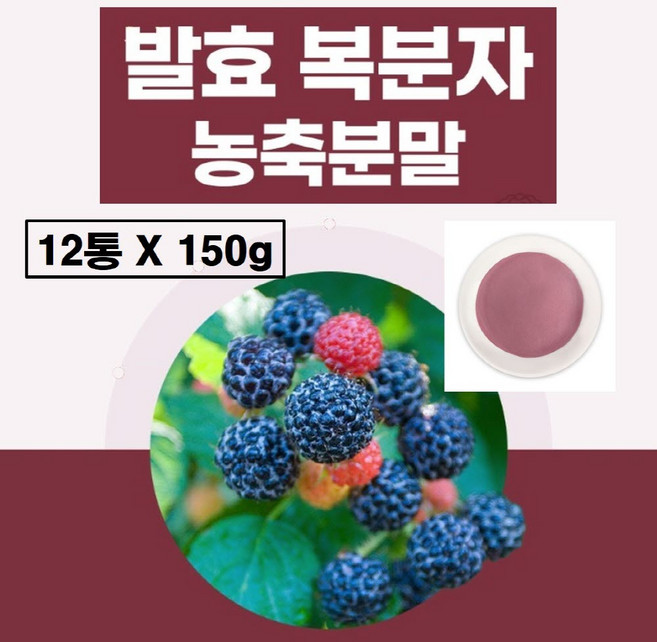 고창 복분자분말 국산 가루 식약청 haccp 인증 국내산 발효 농축 농축액 파우더 고창산 판매 먹는법 식약처 해썹, 12개, 150g