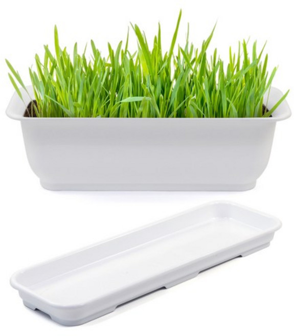 라운드 직사각 뷰티 5호 + 받침, Pure white, 5개