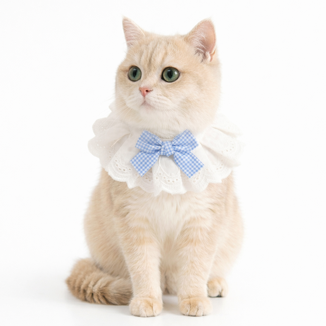렛츠독 고양이 강아지 하이디 공주 레이스 체크리본 스카프 턱받이, 1개, 블루체크