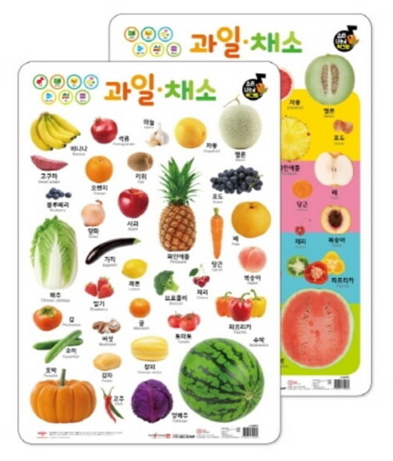 [애플비북스] 소리나는 벽그림 과일채소 세이펜 적용가능