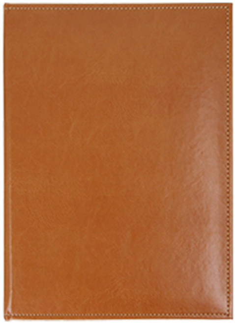 아인텍 고급 2단 가죽파일 A4 3공 O링 내지 40매 HH11, 브라운[H5742], 1개