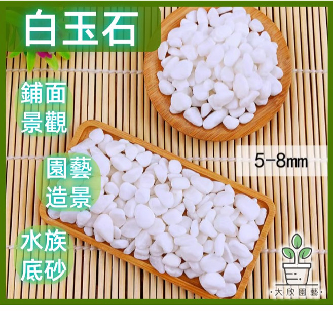 大欣園藝 白玉石 園藝石 水族底砂 造景石, 1個, 5-8mm|小粒款(2分石),1公斤