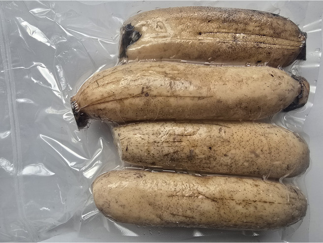 2025 자연과약속 GAP 친환경 무농약 햇 세척연근, 1개, 반찬용 연근 1KG