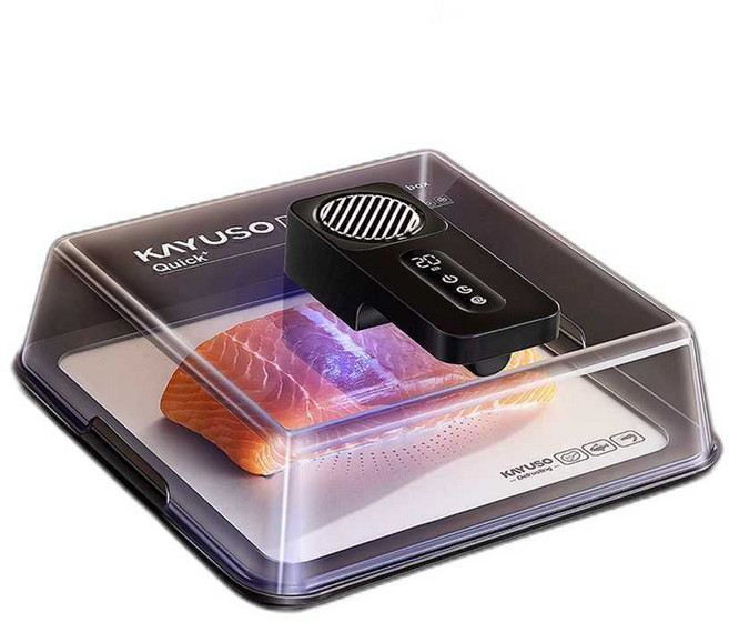 급속 해동기 해산물 해동기계 스마트 식품 활용 블랙