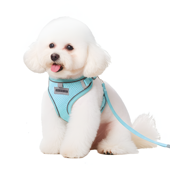 샤르빈 야광 메쉬통풍 리드줄포함 하네스, 민트, 1개