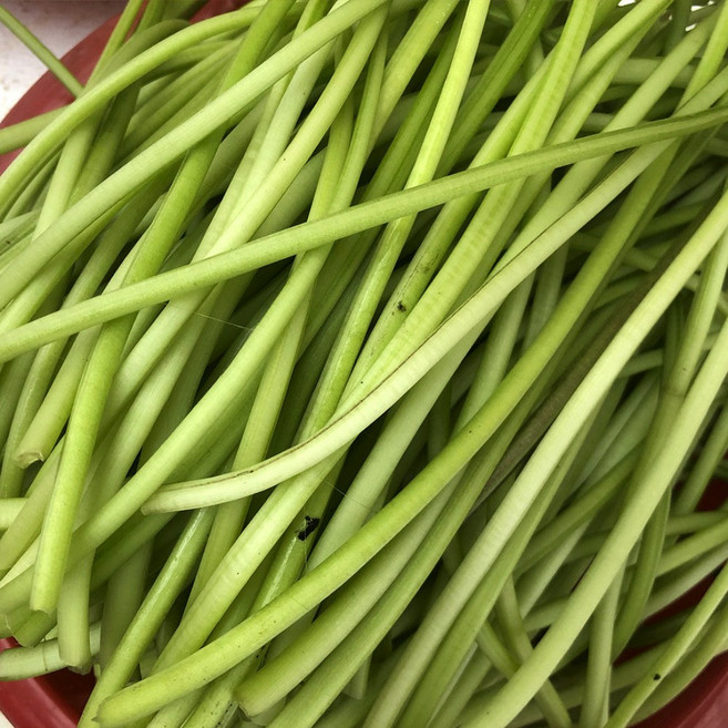 산지직송 국산 고구마 순 줄기, 1박스, 4kg