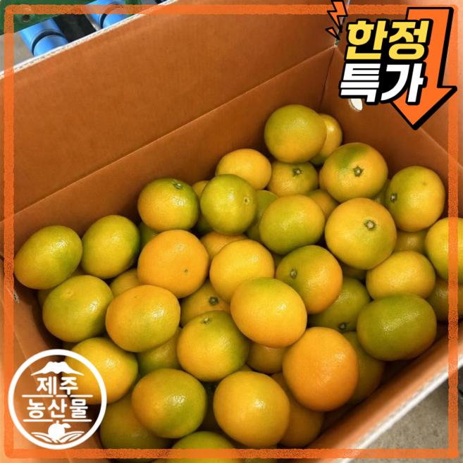 [제주올팜] 고당도 제주 감귤 귤 밀감 로얄과, 1개, 10kg 로얄과 (2S-M)