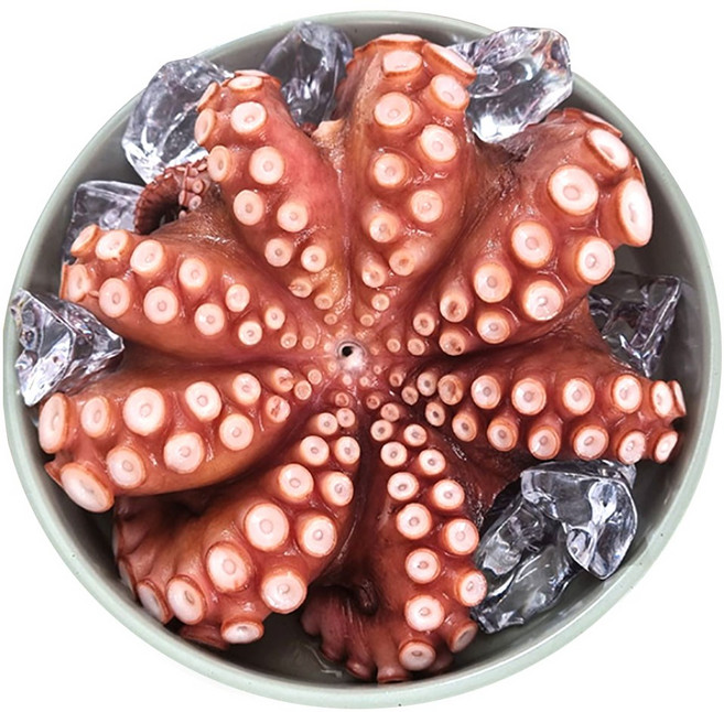 국산 자숙 문어 손질 세척 데친 숙회 제수용 국내산 손질 문어 한마리 500g ~ 2.4kg, 1개, 900~1kg (자숙문어)