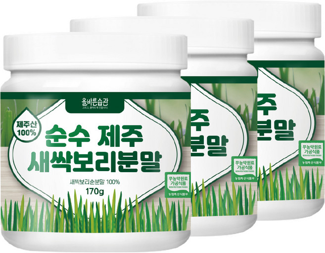 올바른습관 순수 제주 새싹보리 분말, 170g, 3개