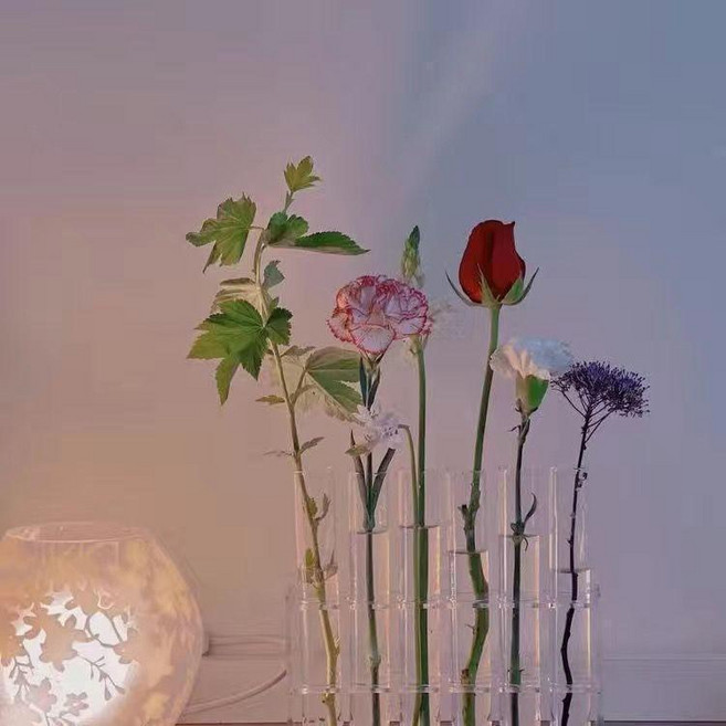 網紅試管花架 實驗試管花瓶 玻璃花瓶 擺件組合花瓶 (不含花), 6箇中號-齊高試管 套餐款