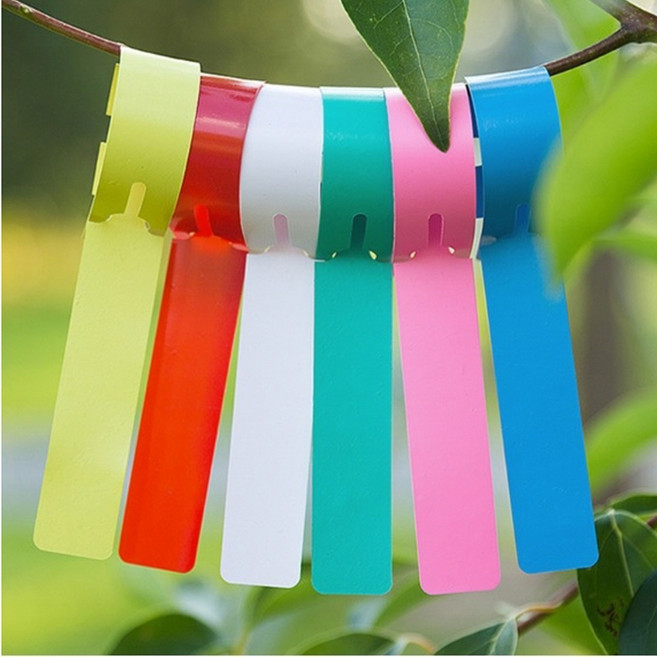 다파요 타이형 나무 이름표 수목라벨 이름표 팻말 네임택 태그 식물 타이, 옐로우