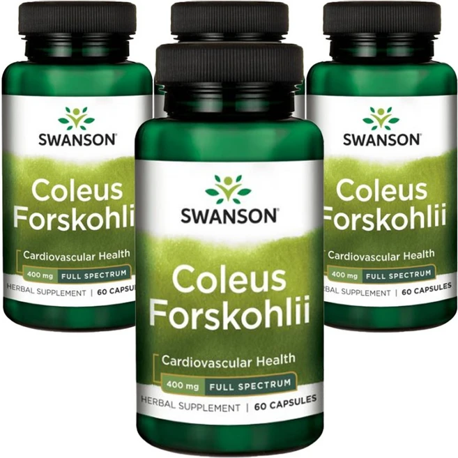 스완슨 콜레우스 포스콜리 400mg 캡슐, 60정, 4개 - 쿠팡