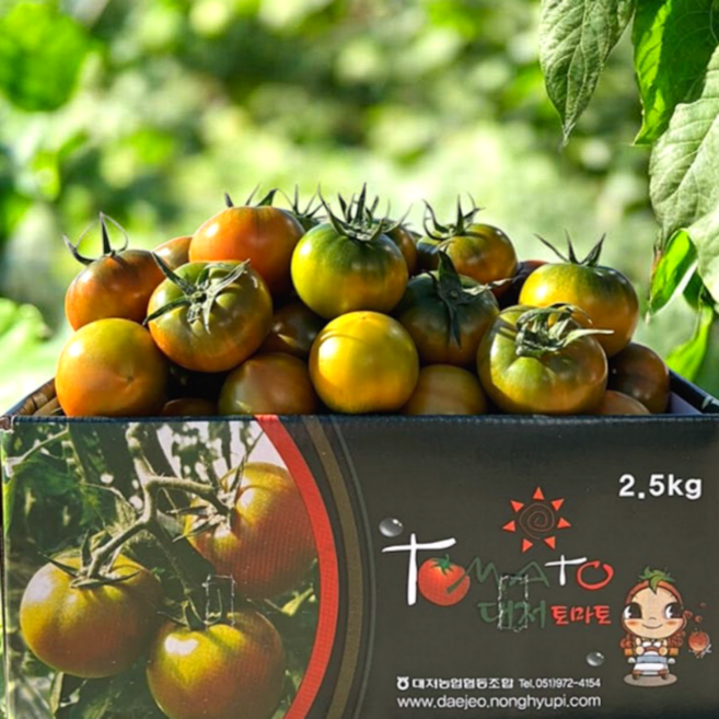 [품질보장] 최상급선별 정품 제철 대저토마토, 1개, 2.5kg(L)