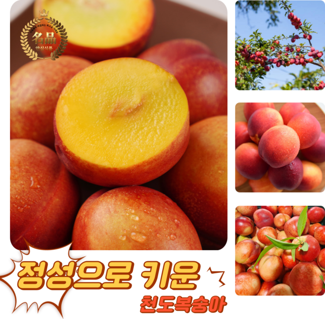 [굿피플] 꿀당도 천도(신선)복숭아 복숭아 제철천도(신선)복숭아, 1개, 천도복숭아(신선) 2kg 14-16과