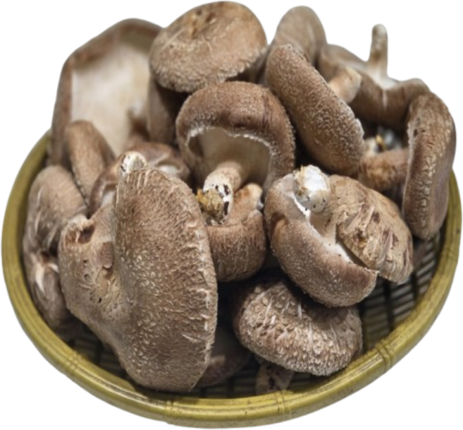 못생겨도 맛있는 표고버섯, 1개, 1kg