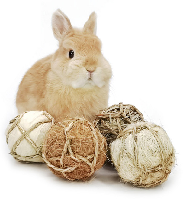 천연 플레이 볼 장난감 토끼 기니피그 친칠라 등 소동물 장난감 이갈이 장난감, 버드나무볼, 1개