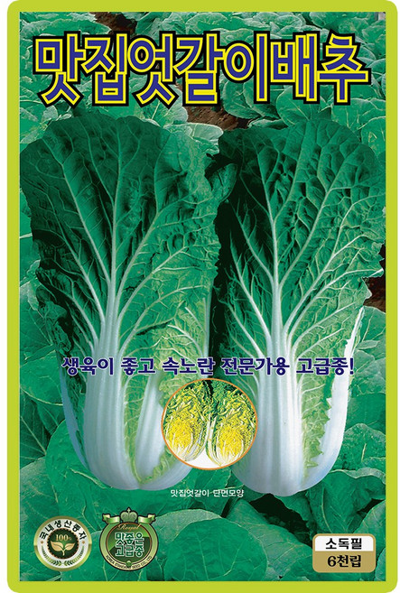 산들마켓 맛집엇갈이 배추 씨앗 6000립 생육이 좋고 속노란 상품성이 좋은 국내산 고급 품종, 3개
