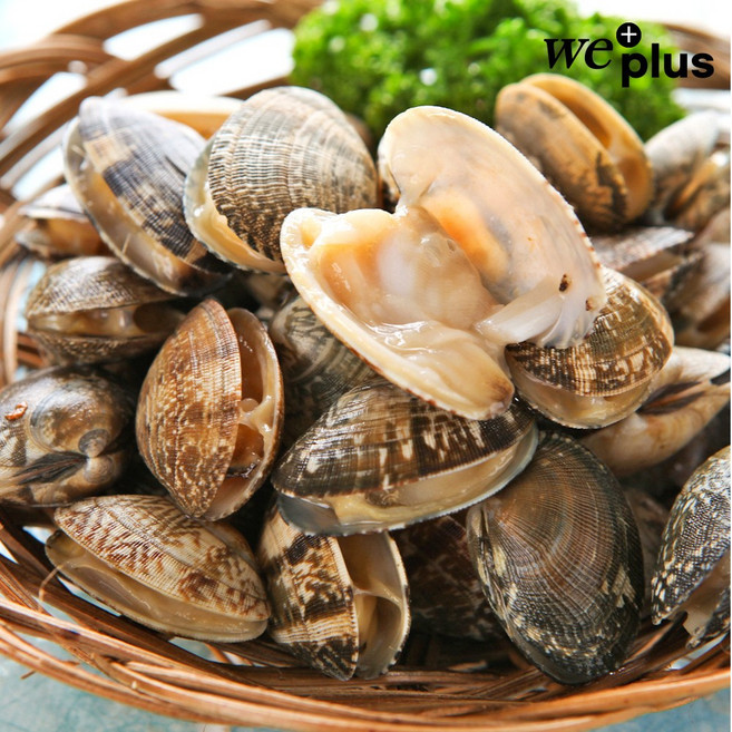 통영 왕바지락 해감 바지락, 1개, 1kg