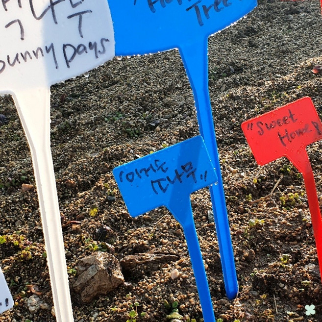 식물 T자형 플라스틱 텃밭 이름표 50cm 대형 꺾임 화분 팻말