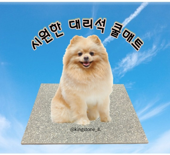킹스톤 반려동물 대리석 쿨매트 인조대리석 방석, 베이지계열, 1개