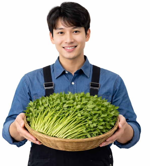 (품질보장) 일등농수산 무등산 정품 돌미나리, 1개, 1kg