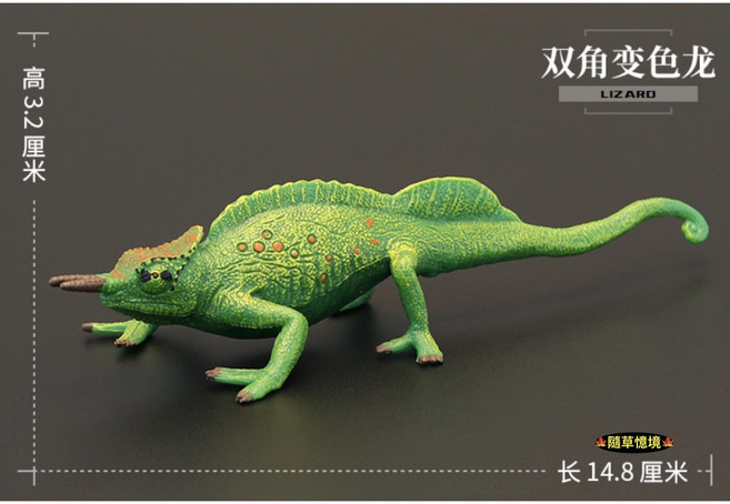 SPG 隨草憶境 仿真蜥蜴變色龍巨蜥兩棲爬蟲動物模型兒童玩具益智公仔, 1個