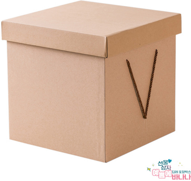 30 X 30 X 31 크라프트 무지 손잡이 대형 선물상자 큰 선물박스 정리함, 1개