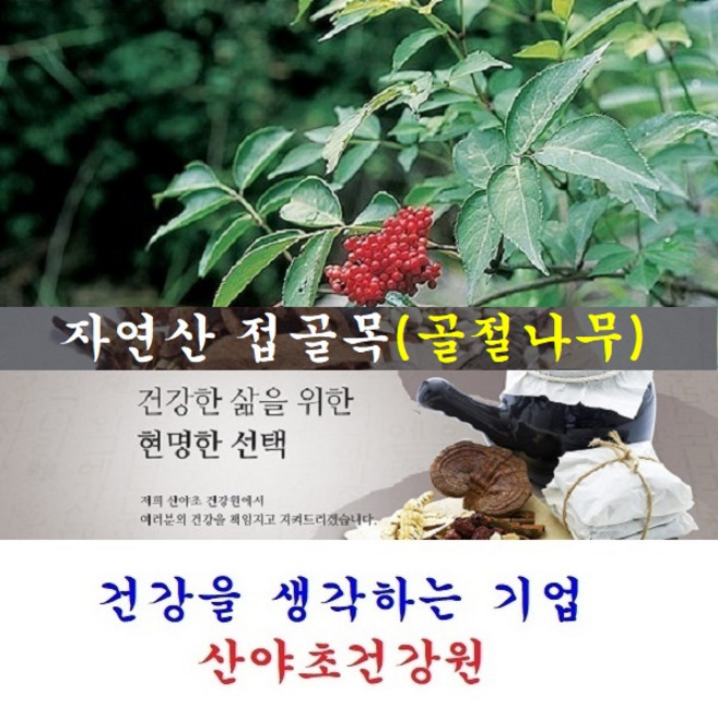 산야초건강원 접골목진액(35일분):70팩 딱충나무 말오줌나무 접골탕 우슬접골탕 녹각접골탕, 70개, 110ml