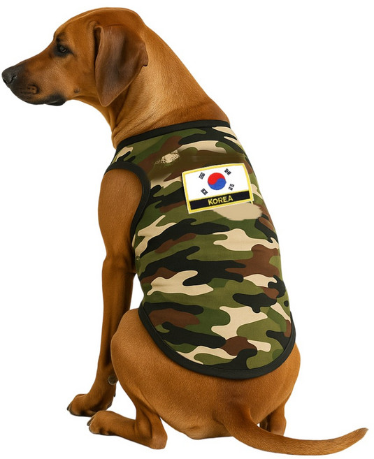 카라몰리 강아지 티셔츠 메쉬 군복 밀리터리, 카모, 1개