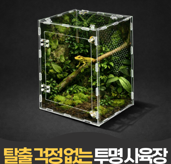 펄빈 상부오픈 투명 아크릴 파충류 사육장 30cm, 1개, 화이트