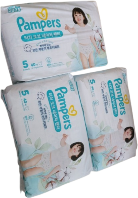 팸퍼스 2025 터치오브네이처 팬티형 기저귀 남여공용, 5단계, 120매