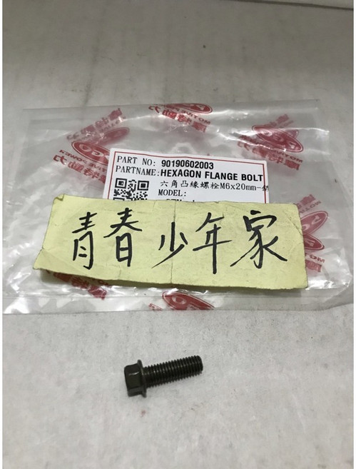 PGO 摩特動力 彪虎125/150 傳動外蓋螺絲 M6, 1個
