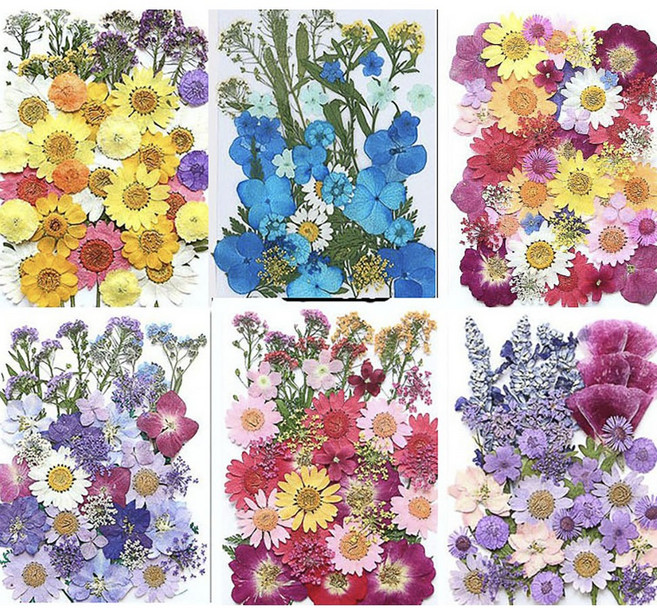 압화 누름꽃 압화공예, AET8