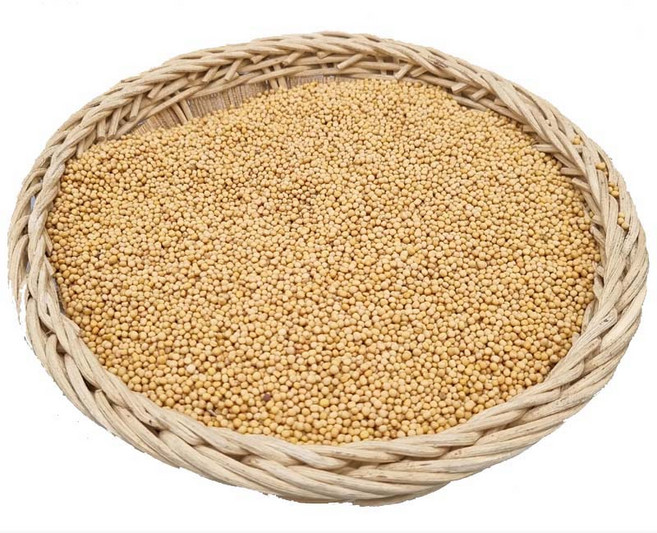 청명약초 백개자(300g)-인도산, 2개, 300g