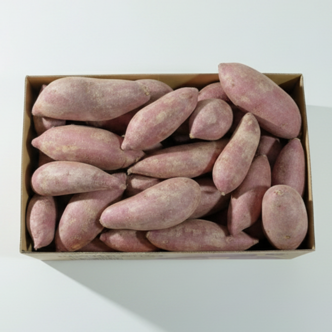 프리미엄 해남 고구마 꿀고구마, 1개, 특상 5kg