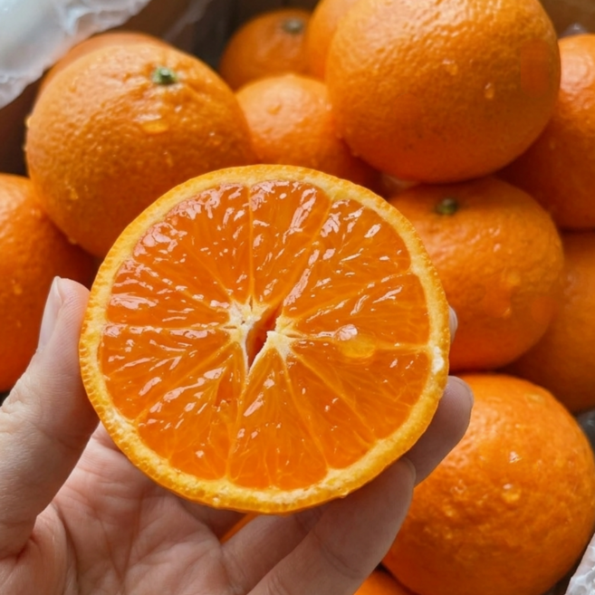 제주 카라향 고당도 귤 프리미엄 가정용, 1박스, 5kg