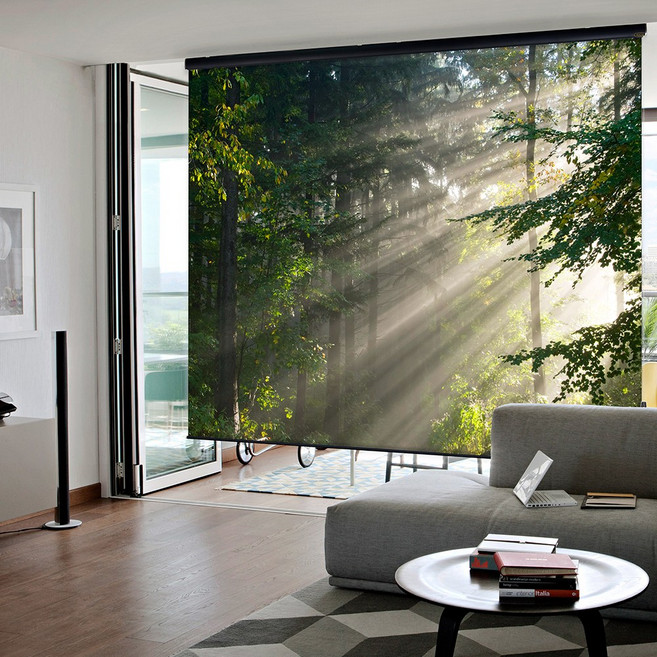 아라크네 111인치 프로젝터 빔스크린, 빔스크린 111인치 블랙프리미엄