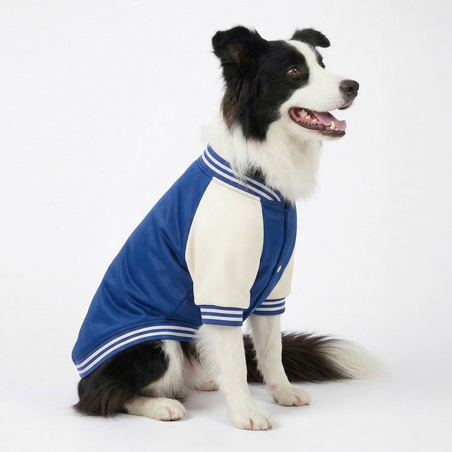 마몽펫즈 데일리 캐주얼 반려견 야구점퍼 강아지 바시티 자켓 대형견, 1개, 블루
